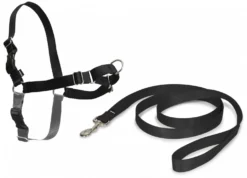 Harnais Easy Walk™ chien
