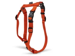 Harnais H Classic Nylon
