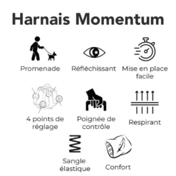 Harnais Momentum noir - chien