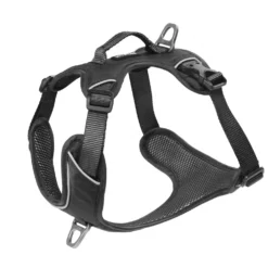 Harnais Momentum noir - chien