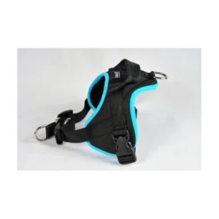 HARNAIS MULTI XXS TURQUOISE
