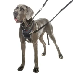 Harnais Non-Pull Halti chien
