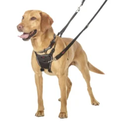 Harnais Non-Pull Halti chien