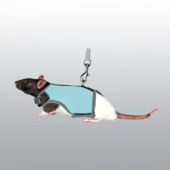 Harnais Soft avec laisse pour rat