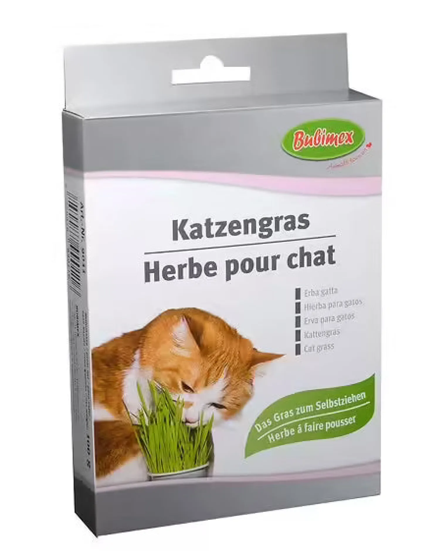 Herbe à chat à brocher 100g