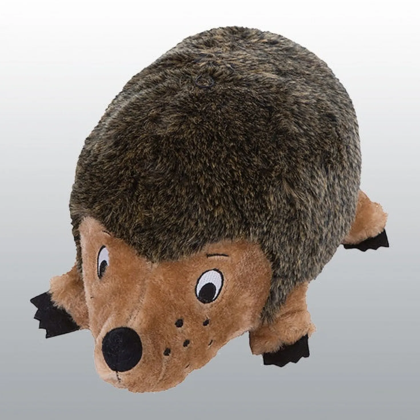 Herisson pour chien