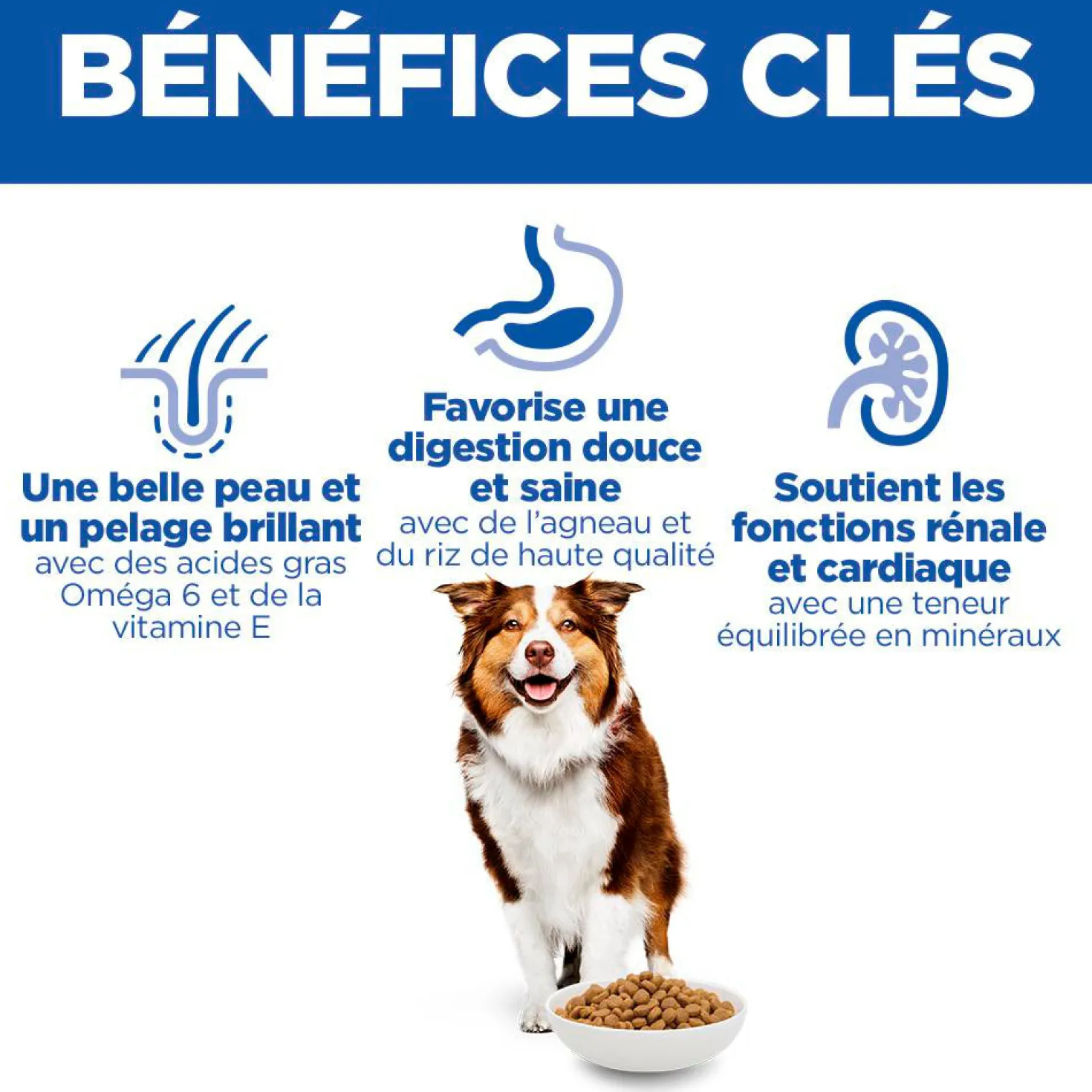 Hill's Chien Mature Adult 7+ Medium Agneau & Riz 14kg