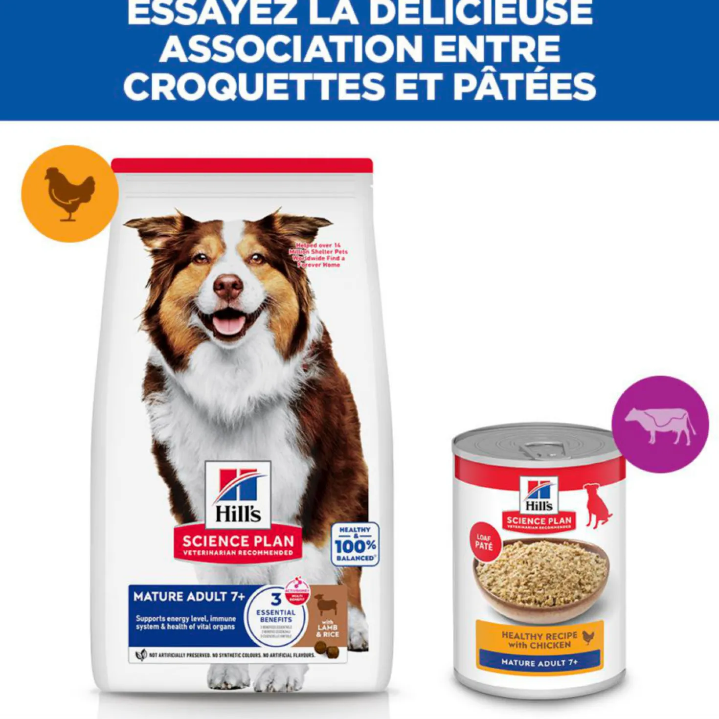 Hill's Chien Mature Adult 7+ Medium Agneau & Riz 14kg