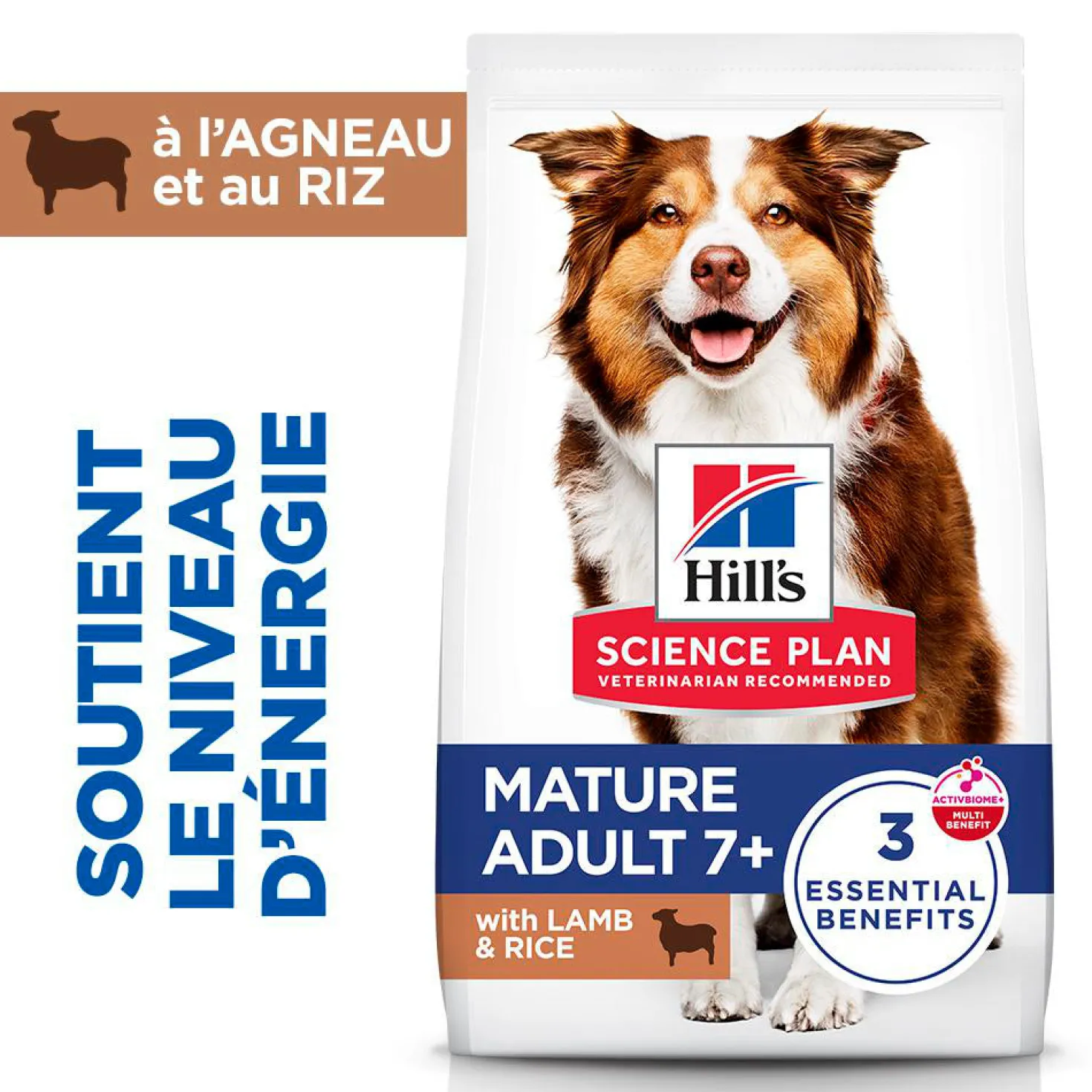 Hill's Chien Mature Adult 7+ Medium Agneau & Riz 14kg