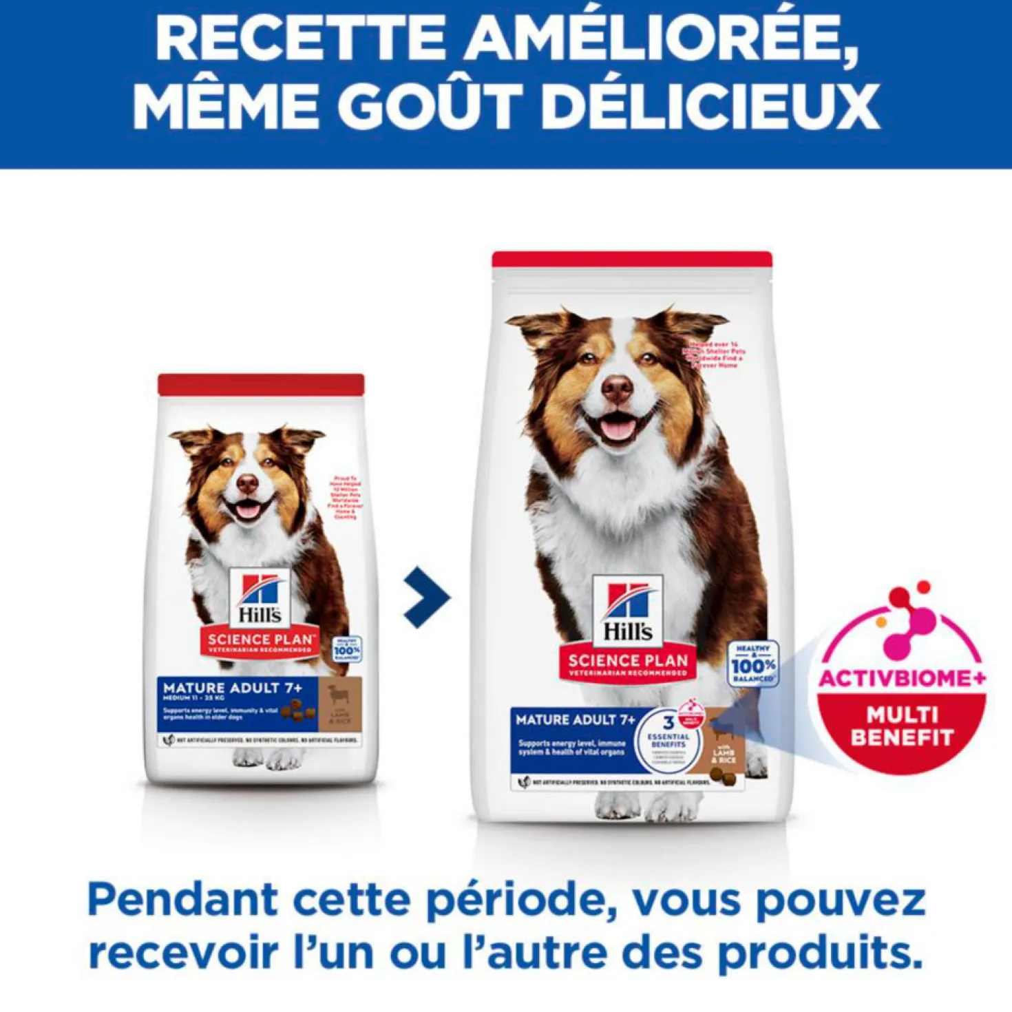 Hill's Chien Mature Adult 7+ Medium Agneau & Riz 14kg
