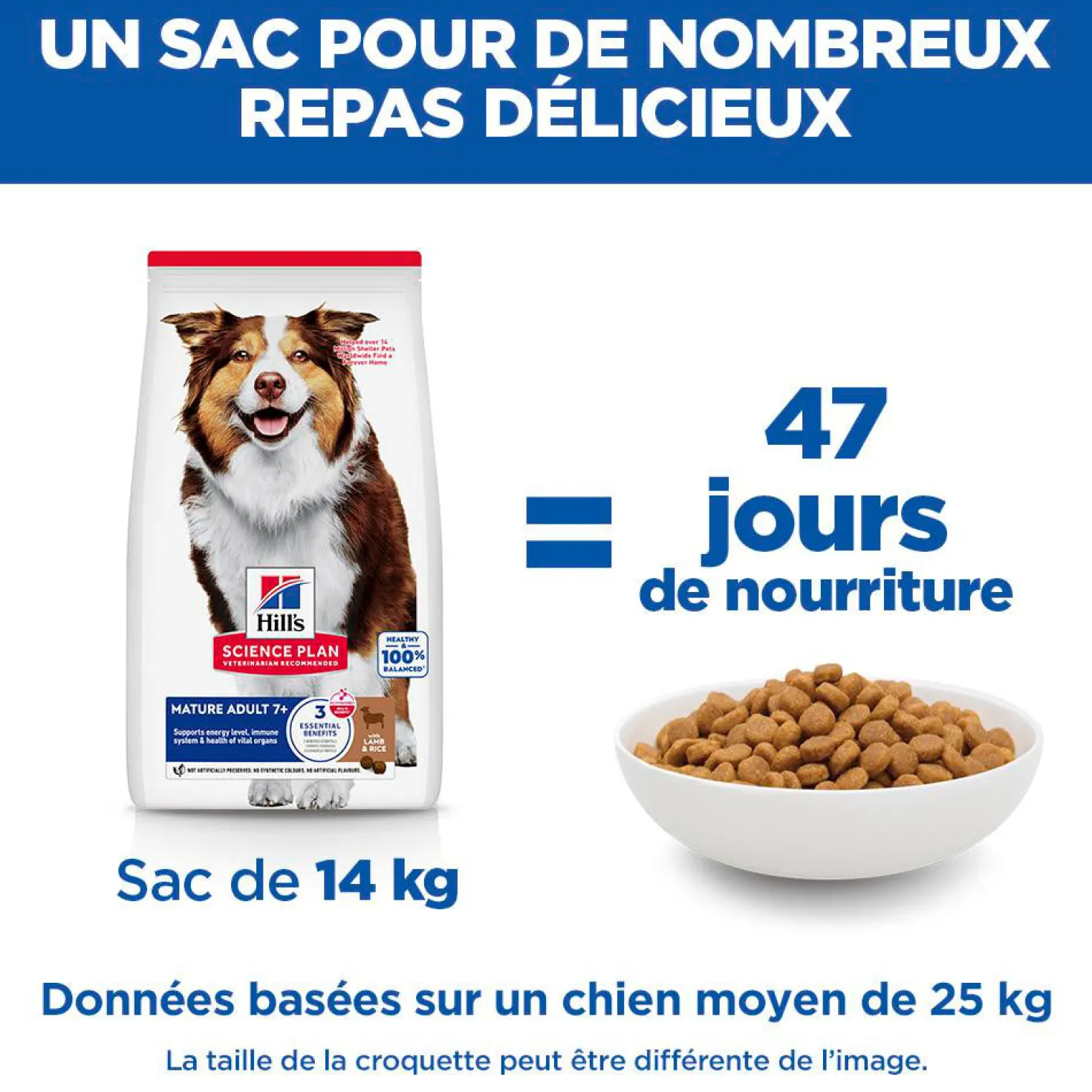 Hill's Chien Mature Adult 7+ Medium Agneau & Riz 14kg