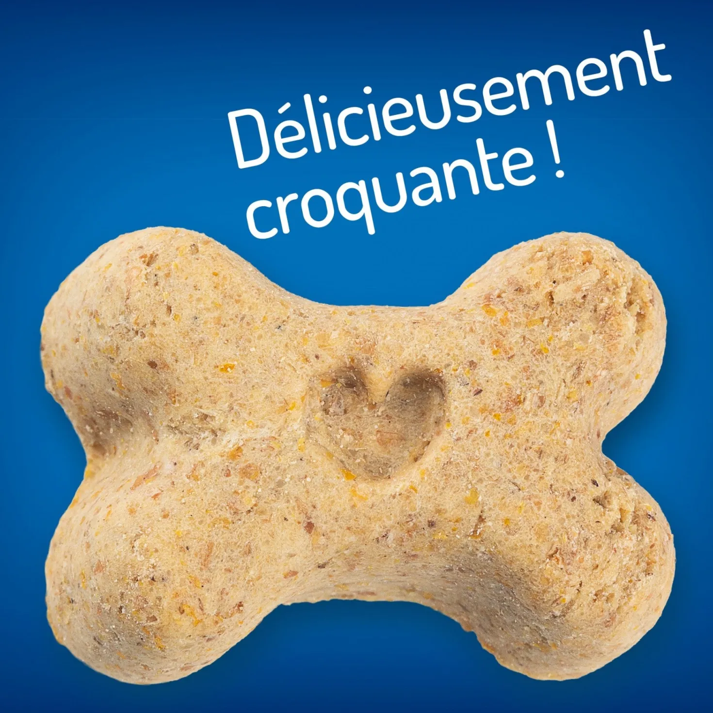 Hill's Healthy Weight Treats - friandises chien