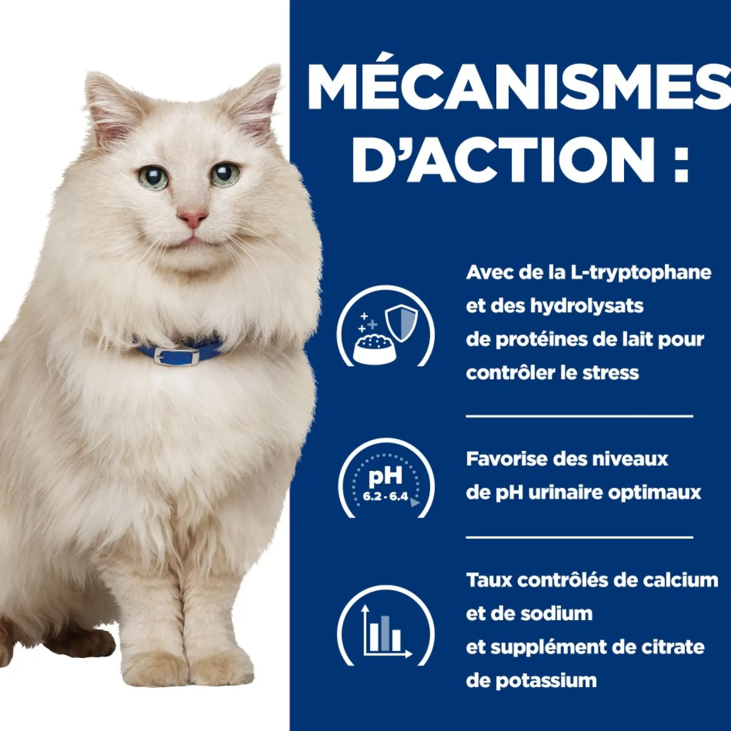 Hill's Prescription Diet c/d Urinary Care Multicare Stress au poulet - croquettes pour chat