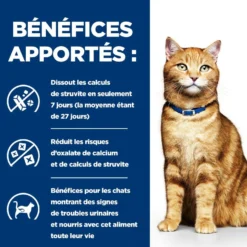Hill's Prescription Diet c/d Urinary Care Multicare au poulet - croquettes chat