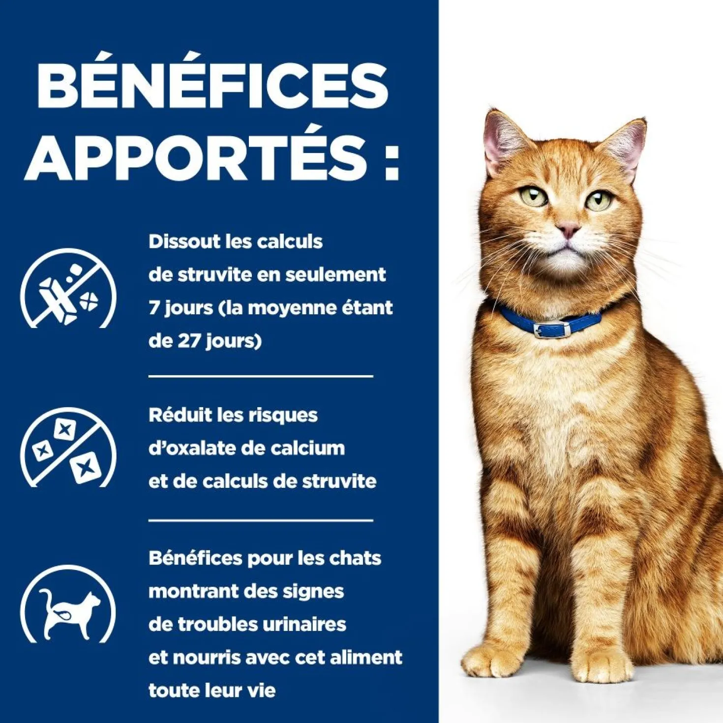 Hill's Prescription Diet c/d Urinary Care Multicare au poulet - croquettes chat