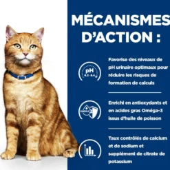Hill's Prescription Diet c/d Urinary Care Multicare au poulet - croquettes chat