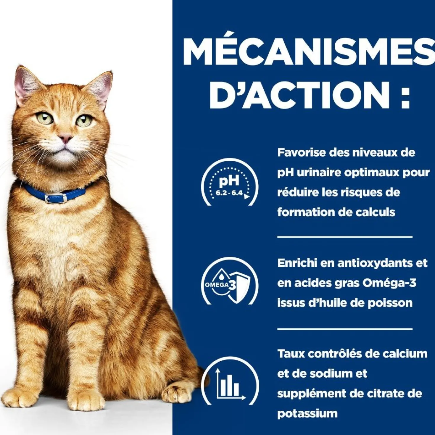 Hill's Prescription Diet c/d Urinary Care Multicare au poulet - croquettes chat