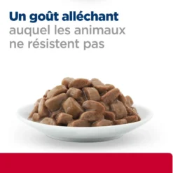 Hill's Prescription Diet c/d Urinary Stress Multicare + Metabolic en sachets - pâtée chat
