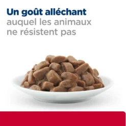 Hill's Prescription Diet c/d Urinary Care Multicare Stress en sachets - pâtée chat