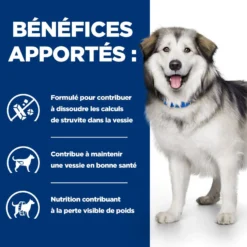 Hill's Prescription Diet c/d Urinary Multicare + Metabolic - croquettes chien