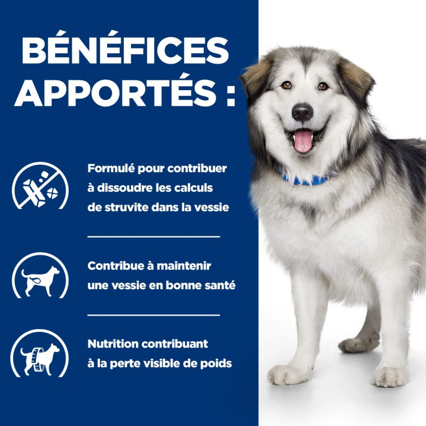 Hill's Prescription Diet c/d Urinary Multicare + Metabolic - croquettes chien