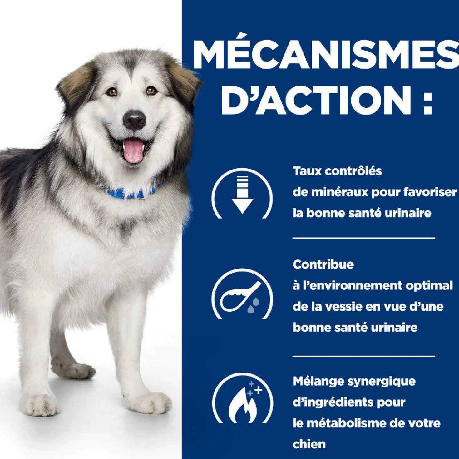 Hill's Prescription Diet c/d Urinary Multicare + Metabolic - croquettes chien