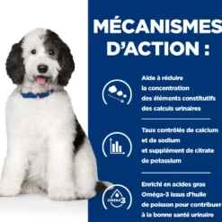 Hill's Prescription Diet c/d Urinary Care Multicare au poulet - croquettes chien