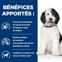 Hill's Prescription Diet c/d Urinary Multicare en boîtes au poulet – pâtée chien
