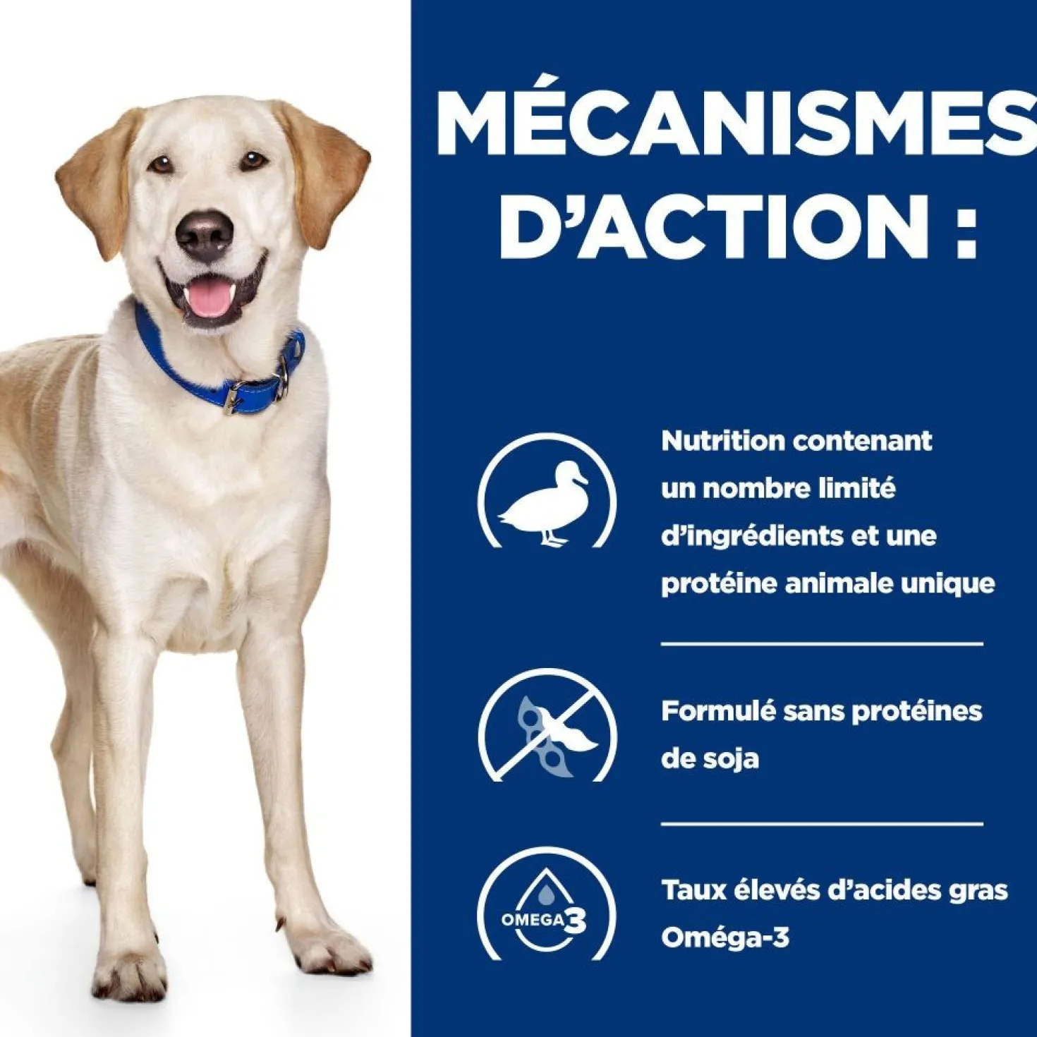 Hill's Prescription Diet d/d Food Sensitivities au canard - croquettes chien
