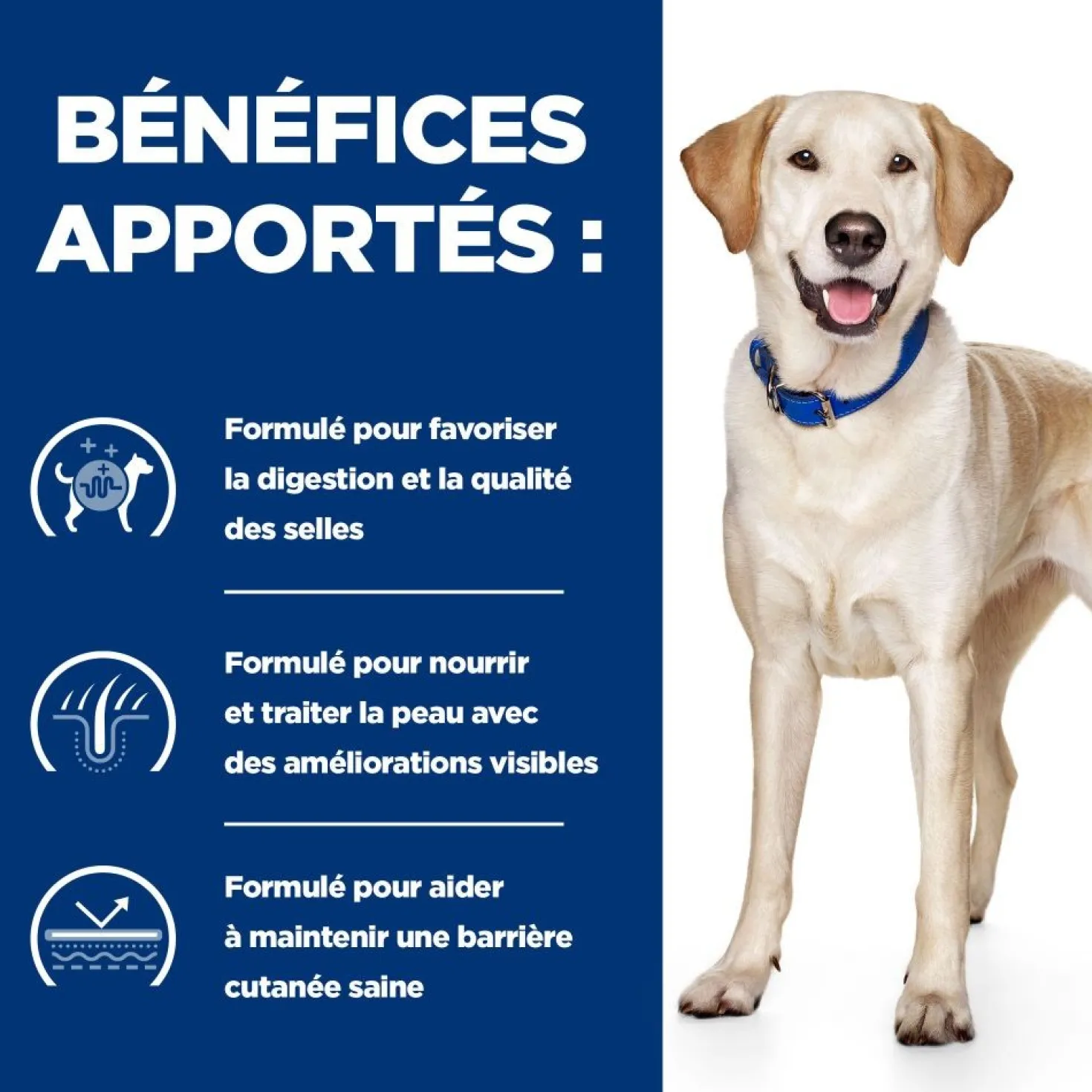 Hill's Prescription Diet d/d Food Sensitivities au canard - croquettes chien