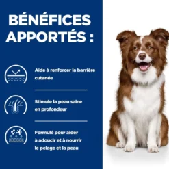 Hill's Prescription Diet Derm Defense au poulet - croquettes chien