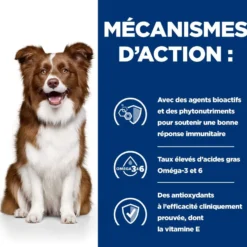 Hill's Prescription Diet Derm Defense au poulet - croquettes chien