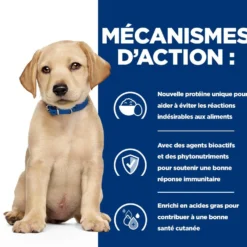 Hill's Prescription Diet Derm Complete Puppy - croquettes chiot