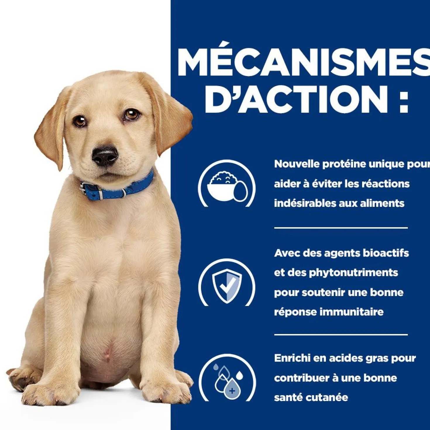 Hill's Prescription Diet Derm Complete Puppy - croquettes chiot