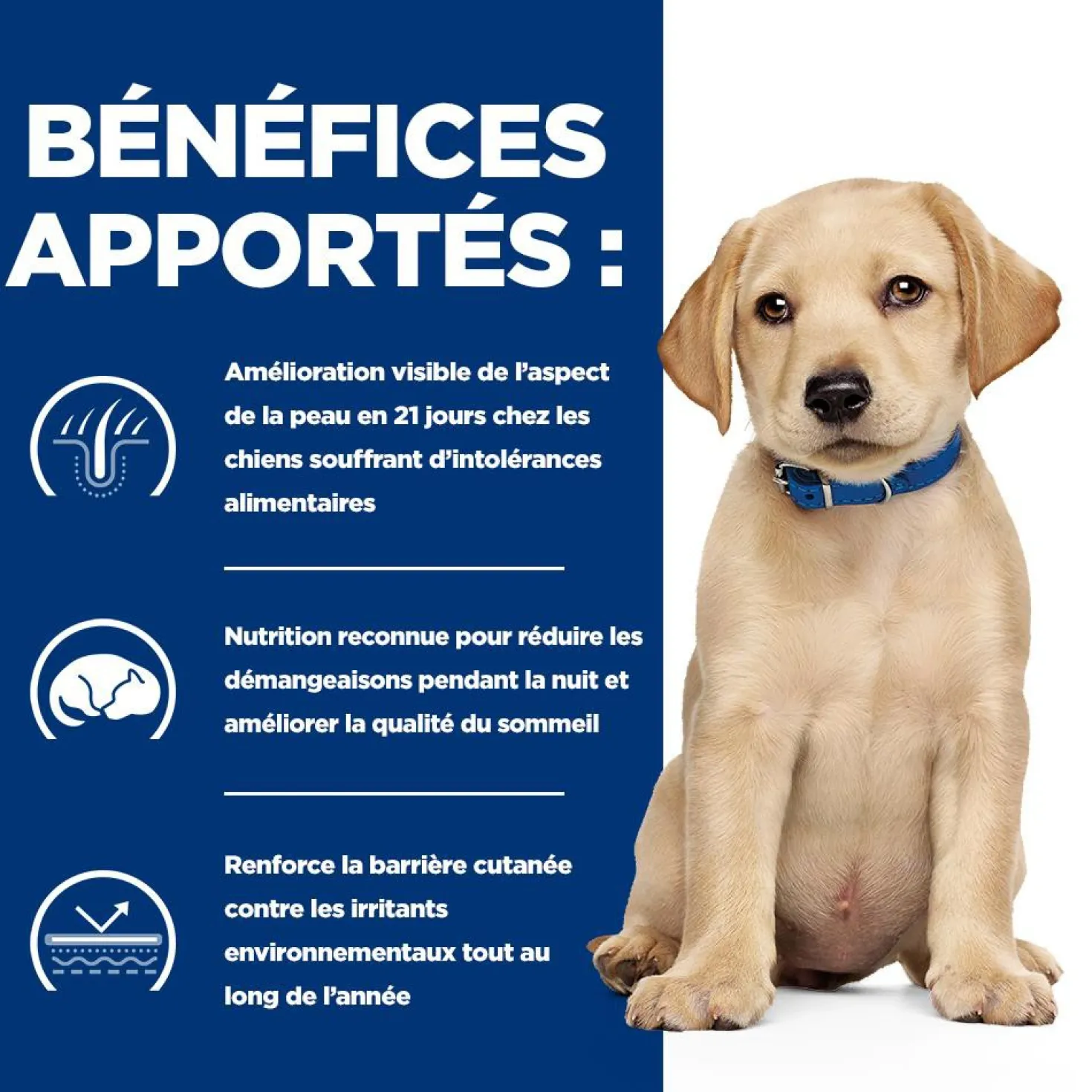 Hill's Prescription Diet Derm Complete Puppy - croquettes chiot