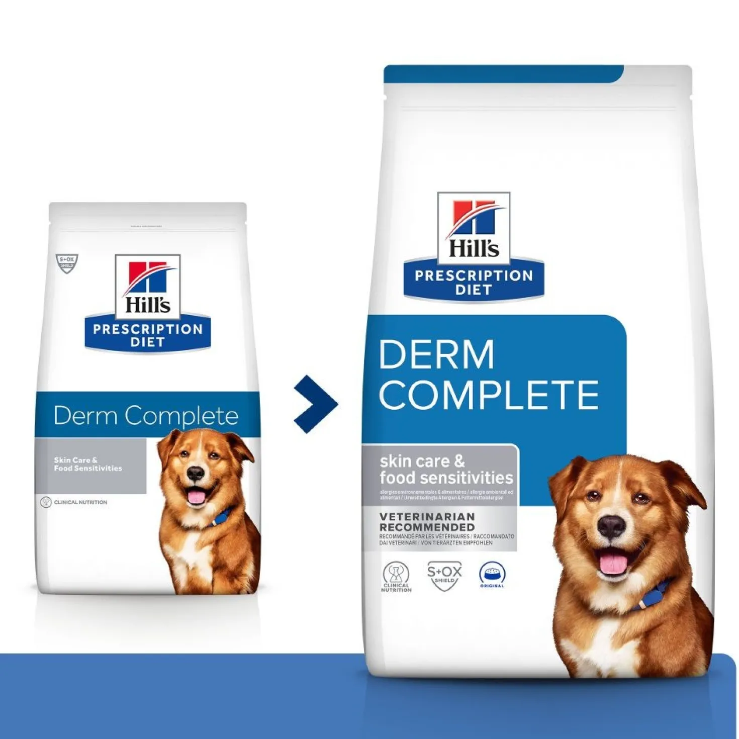 Hill's Prescription Diet Derm Complete - croquettes chien