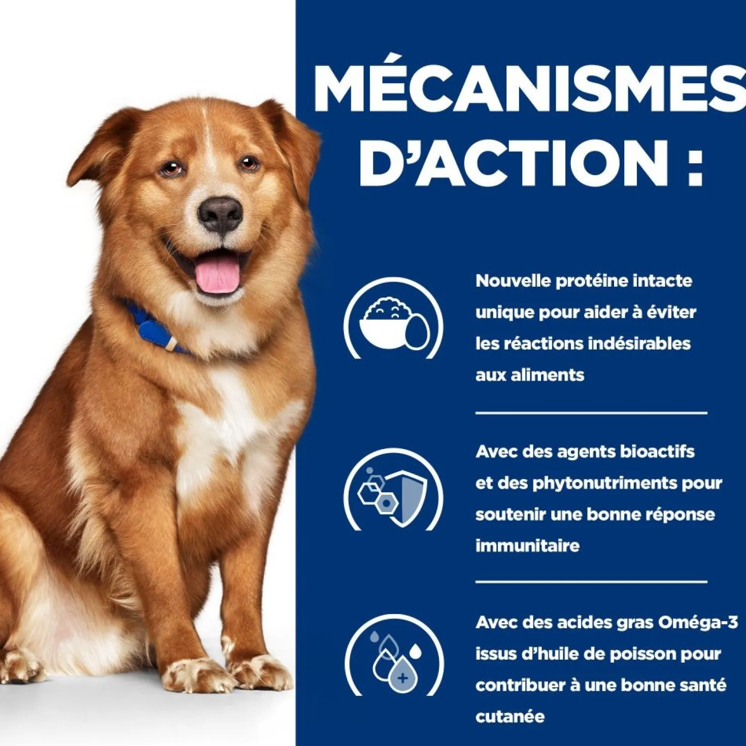 Hill's Prescription Diet Derm Complete - croquettes chien