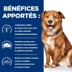 Hill's Prescription Diet Derm Complete - croquettes chien