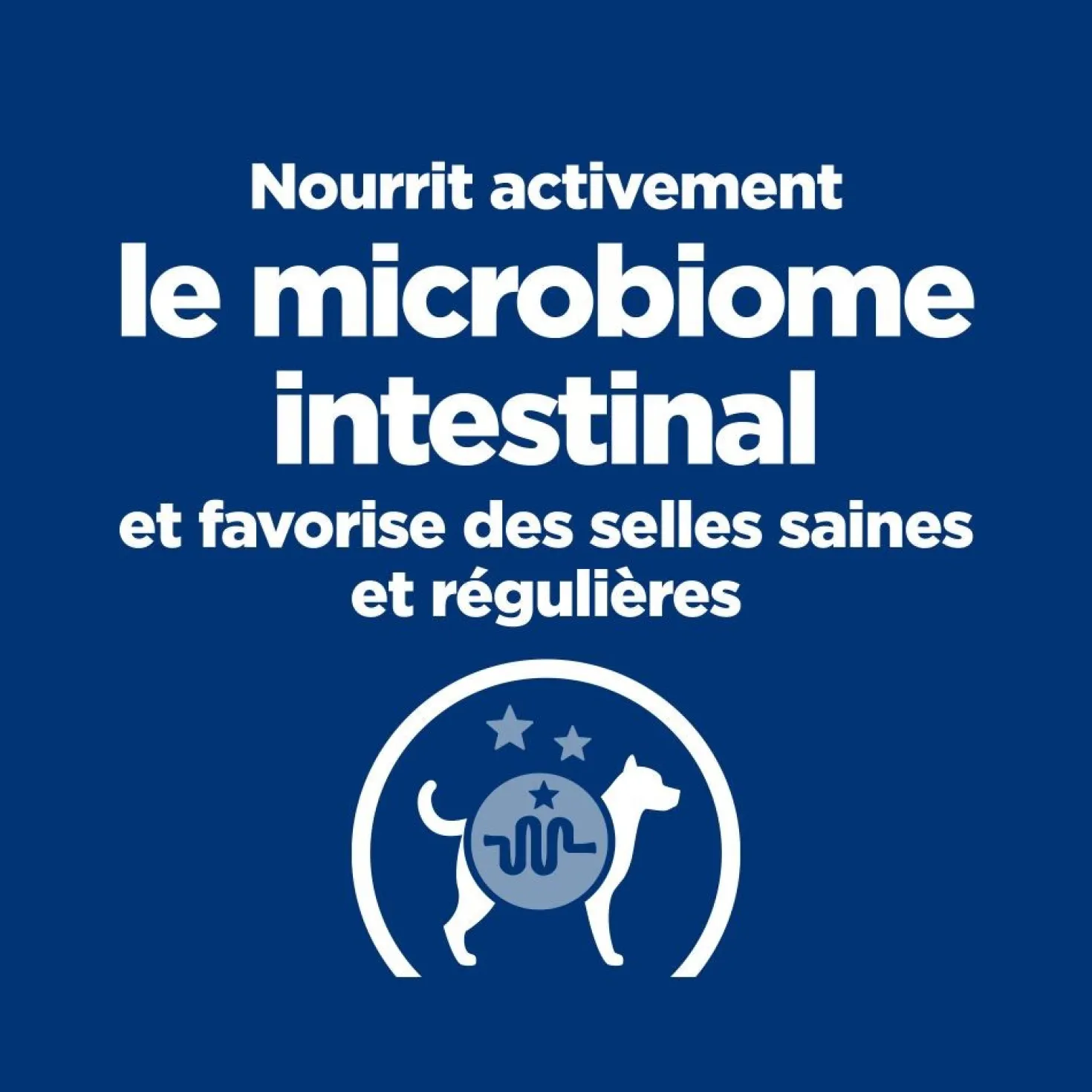 Hill's Prescription Diet Gastrointestinal Biome au poulet - croquettes chien