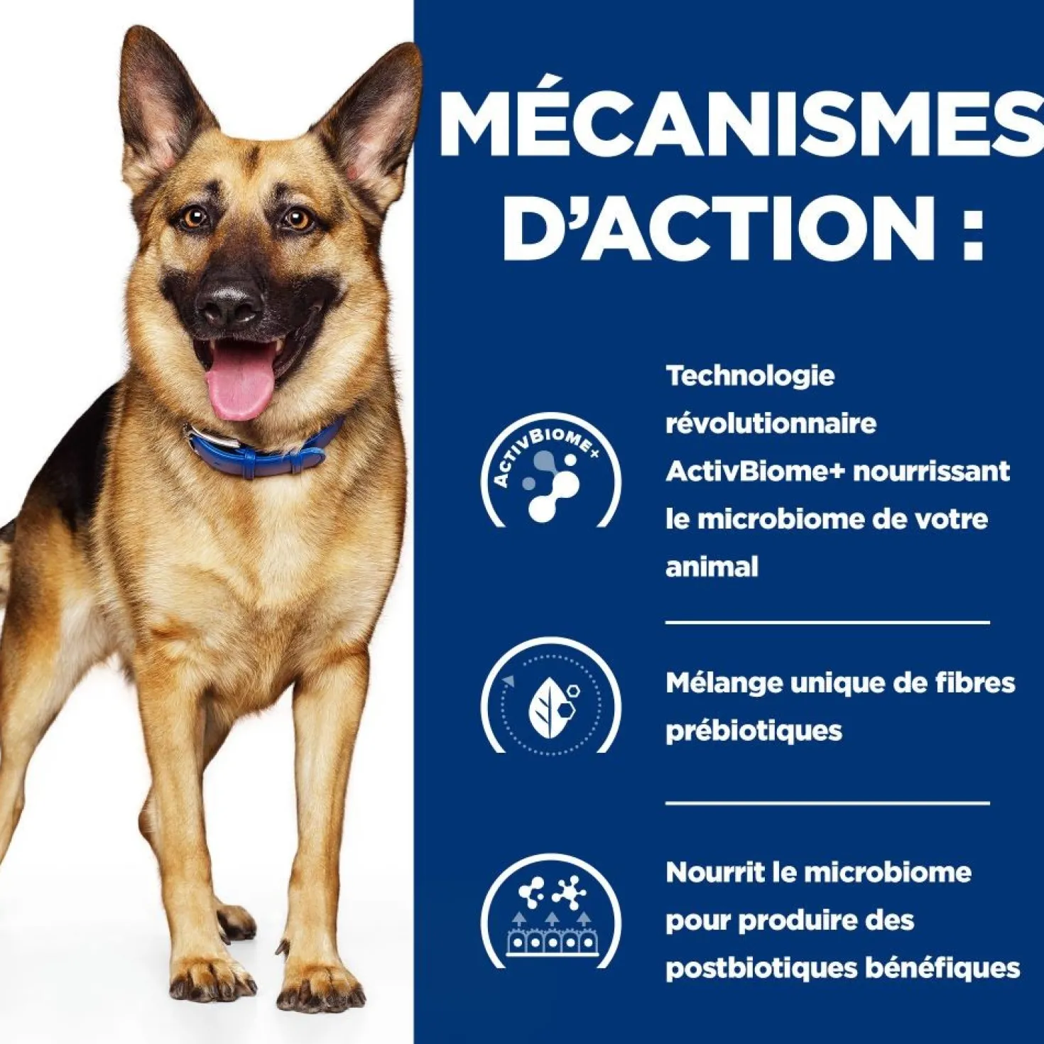 Hill's Prescription Diet Gastrointestinal Biome au poulet - croquettes chien