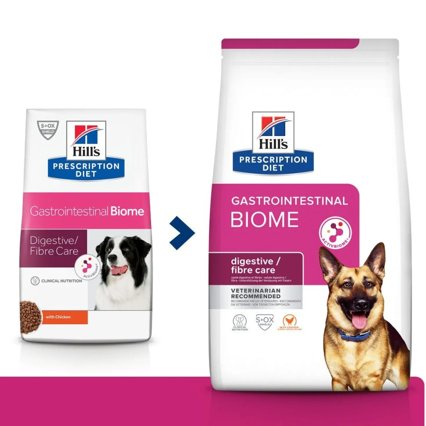 Hill's Prescription Diet Gastrointestinal Biome au poulet - croquettes chien