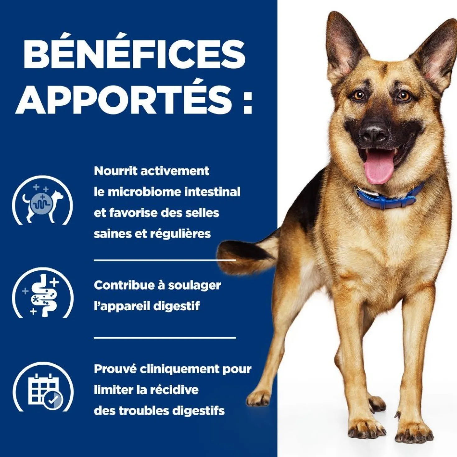 Hill's Prescription Diet Gastrointestinal Biome au poulet - croquettes chien