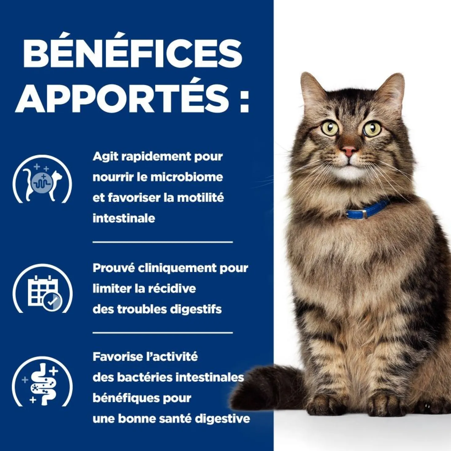 Hill's Prescription Diet Gastrointestinal Biome au poulet - croquettes chat
