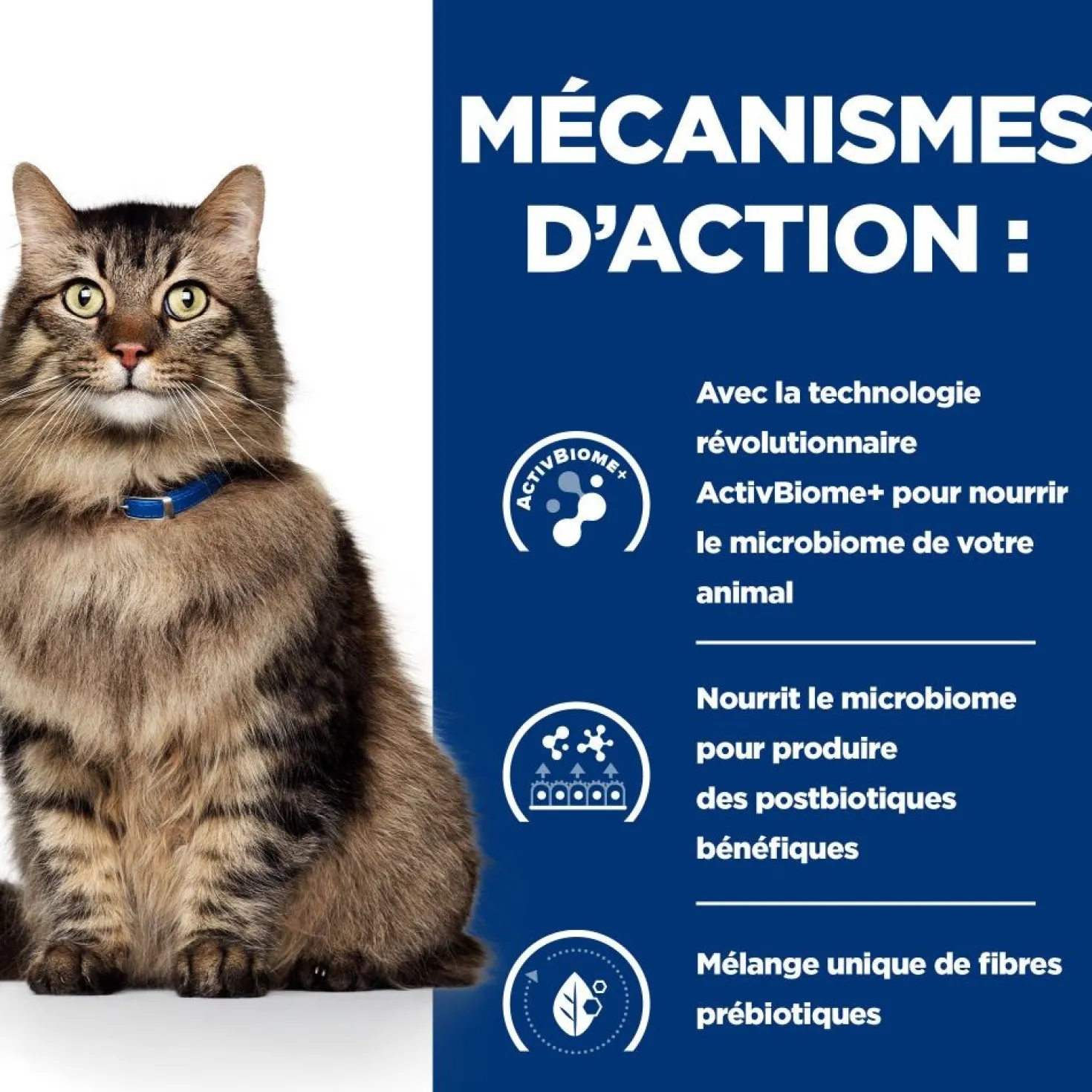 Hill's Prescription Diet Gastrointestinal Biome au poulet - croquettes chat