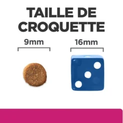 Hill's Prescription Diet Gastrointestinal Biome au poulet - croquettes chat