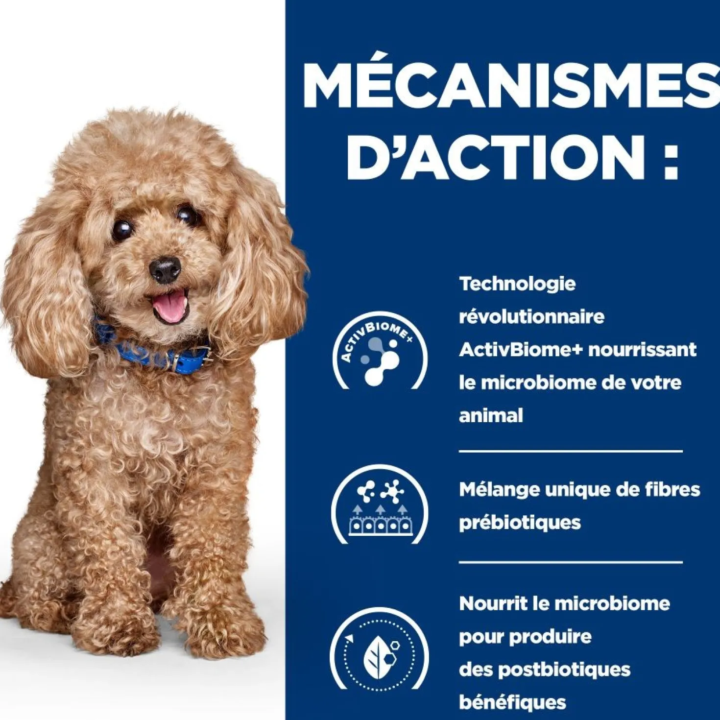 Hill's Prescription Diet Gastrointestinal Biome Mini au poulet - croquettes chien