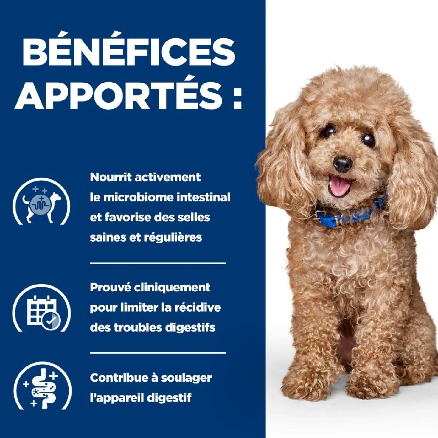Hill's Prescription Diet Gastrointestinal Biome Mini au poulet - croquettes chien