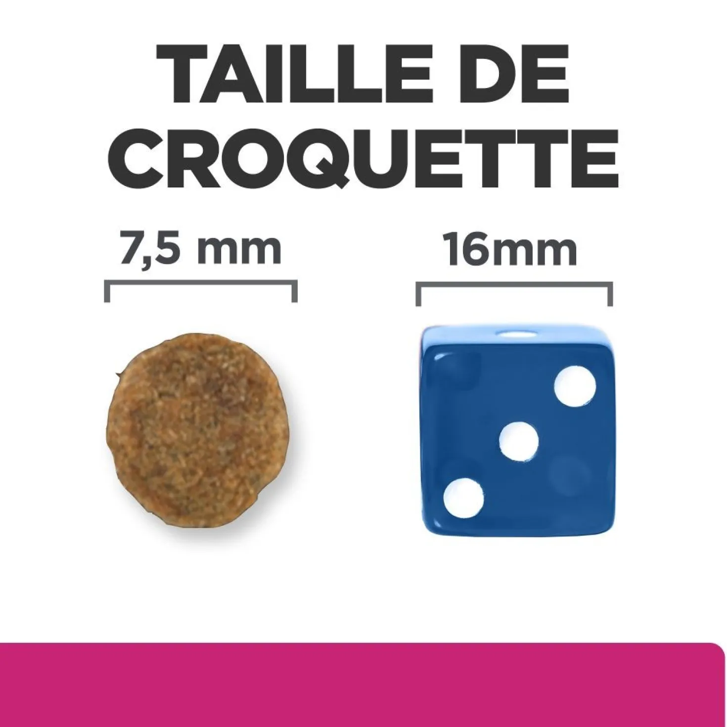 Hill's Prescription Diet Gastrointestinal Biome Mini au poulet - croquettes chien