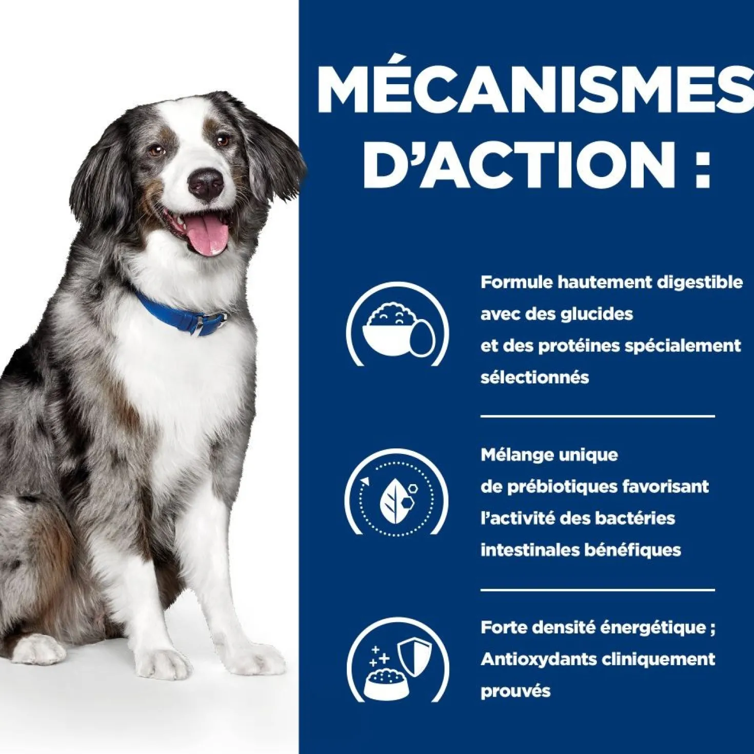 Hill's Prescription Diet i/d Digestive Care Sensitive à l'oeuf et au riz - croquettes chien