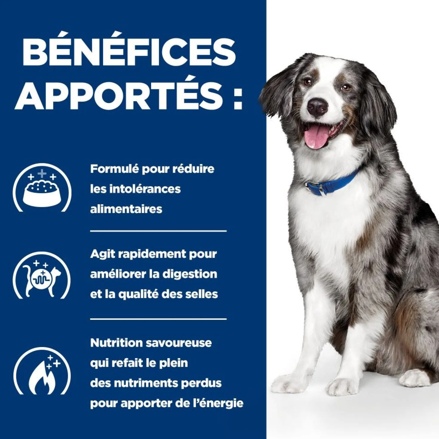 Hill's Prescription Diet i/d Digestive Care Sensitive à l'oeuf et au riz - croquettes chien